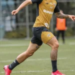 Brazil Sao Paulo Training Photos From Tuesday Released