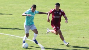 Brazil Palmeiras Faces Juventus in Saturday Friendly Match