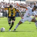Brazil Novorizontino loses to Operario, misses chance to lead Serie B