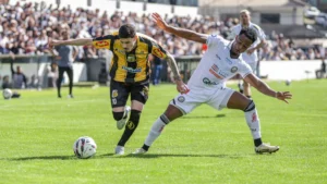 Brazil Novorizontino loses to Operario, misses chance to lead Serie B