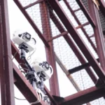 Brazil shows off semi-automated offside tech at Vila Belmiro