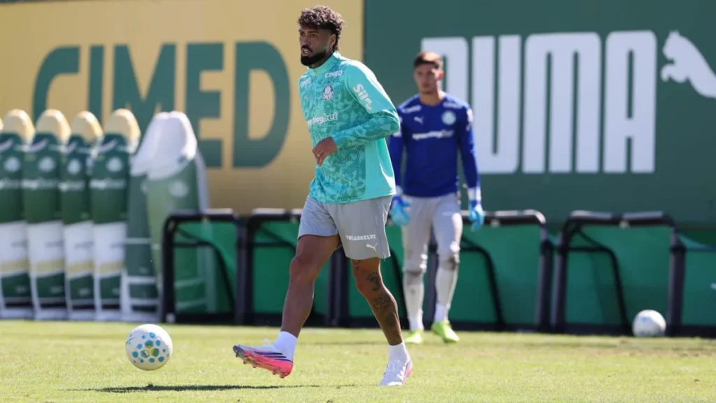 Brazilian soccer club Palmeiras releases Sunday training photos