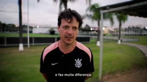 Brazil coach Diniz urges fans to fuel comeback bid