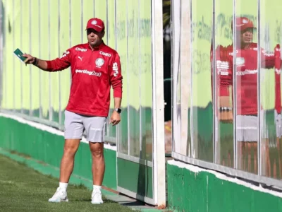 Brazil Palmeiras Transfer Window: Key Arrivals, Exits and Deals
