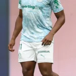 Brazil Palmeiras vs Internacional: Live Brasileirao Match Updates