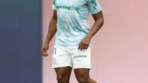 Brazil Palmeiras vs Internacional: Live Brasileirao Match Updates